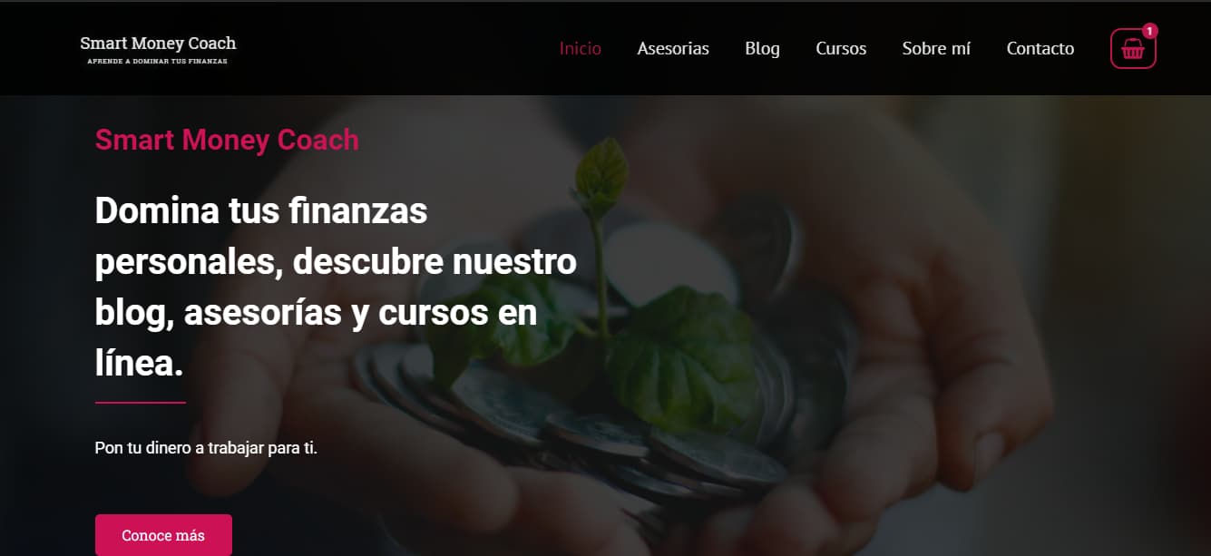 imagen de proyecto de consultoria de finanzas
